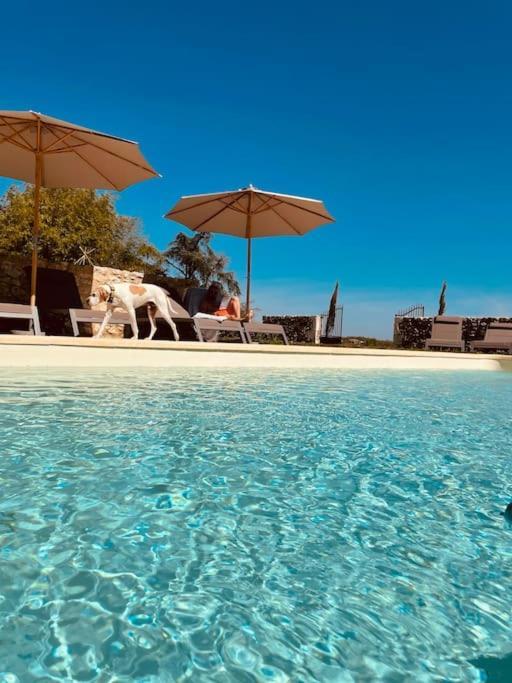 Dome Insolite Cedre Jacuzzi Et Petits Dejeuners Inclus Lagraulet-du-Gers Exteriér fotografie