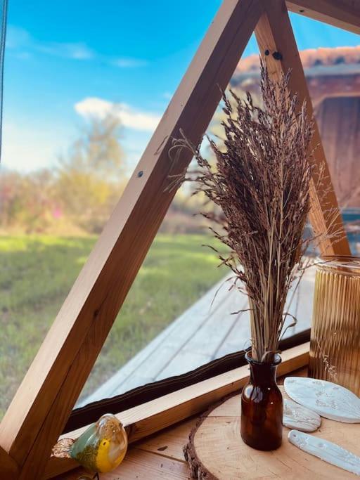 Dome Insolite Cedre Jacuzzi Et Petits Dejeuners Inclus Lagraulet-du-Gers Exteriér fotografie