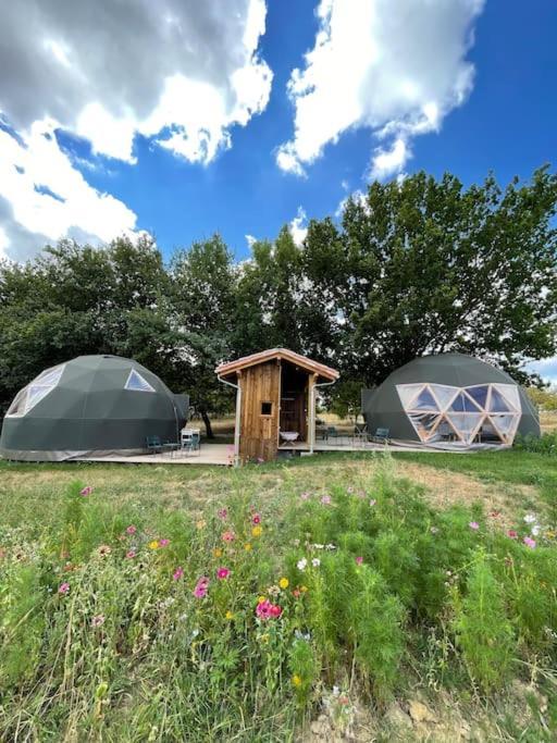 Dome Insolite Cedre Jacuzzi Et Petits Dejeuners Inclus Lagraulet-du-Gers Exteriér fotografie