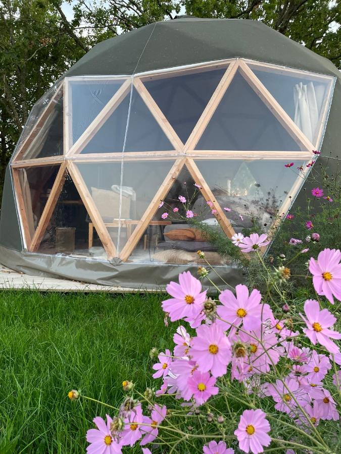 Dome Insolite Cedre Jacuzzi Et Petits Dejeuners Inclus Lagraulet-du-Gers Exteriér fotografie