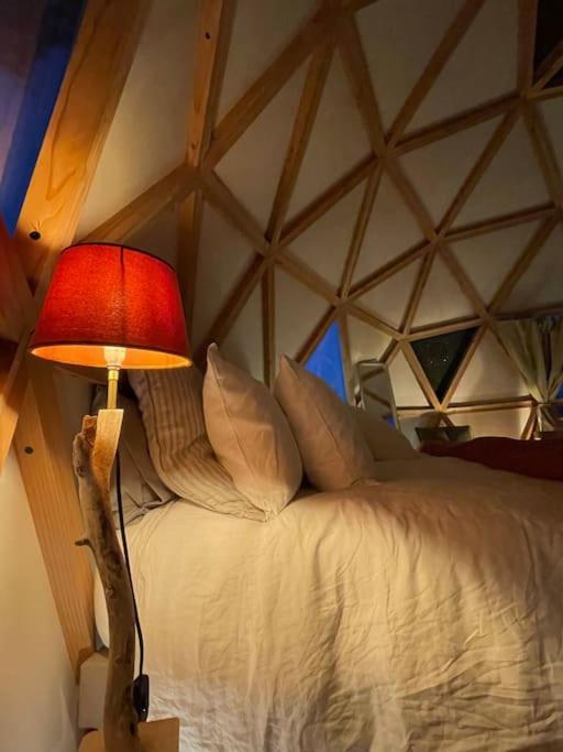 Dome Insolite Cedre Jacuzzi Et Petits Dejeuners Inclus Lagraulet-du-Gers Exteriér fotografie